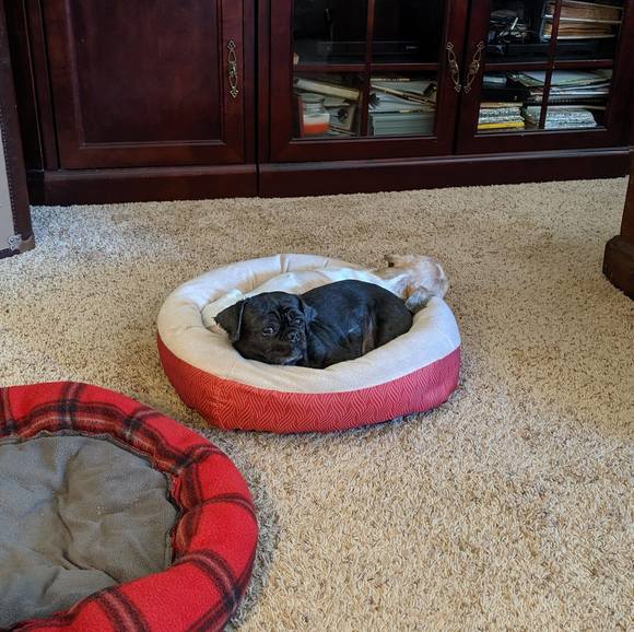 Meet your Posher, Krystal - Picture 1 of 1